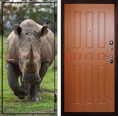 Металлическая дверь с фотопечатью носорога ДФ-31 в Чебоксарах